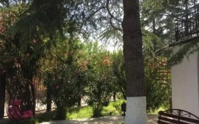 Hotel Old Pitius