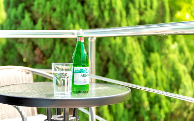Saltykov Agoy Resort Apartment