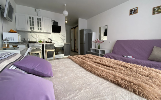 Квартира Современная студия рядом с метро Ул. Дыбенко