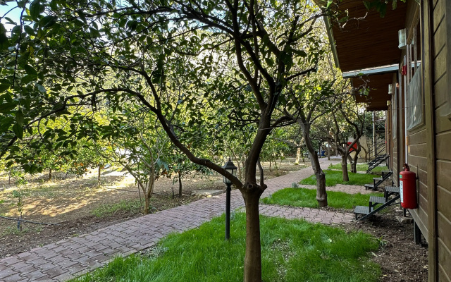 Гостевой дом Olympos Varuna Pansiyon