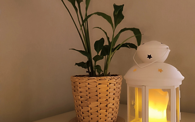 Квартира элегантная на Симановского