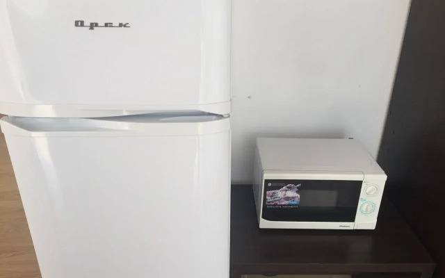 Pribrezhnyij Apartments 1