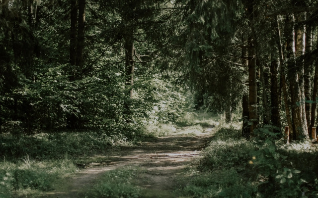 Частный Дом Старый Дуб