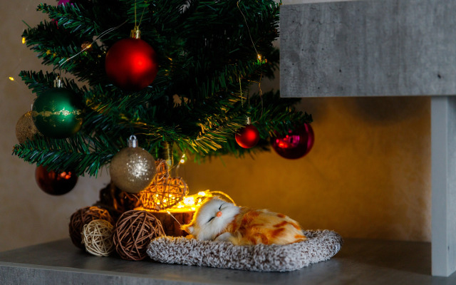 Квартира PrezentHaus 1 Моршанское шоссе 24Г