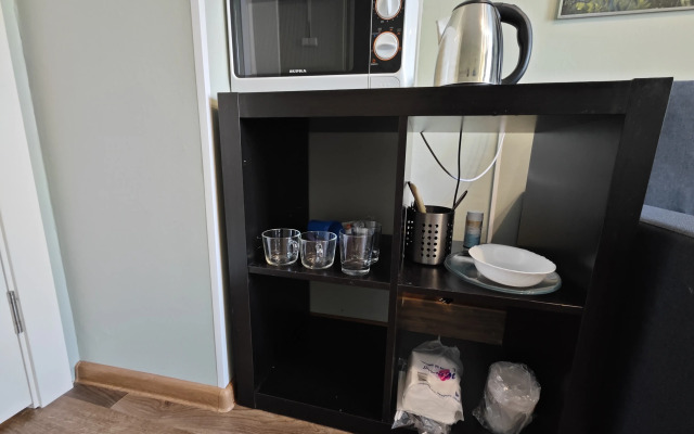 Квартира Калина на Тургенева 47