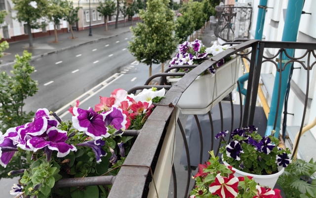 Istoricheskiy Tsentr Flat