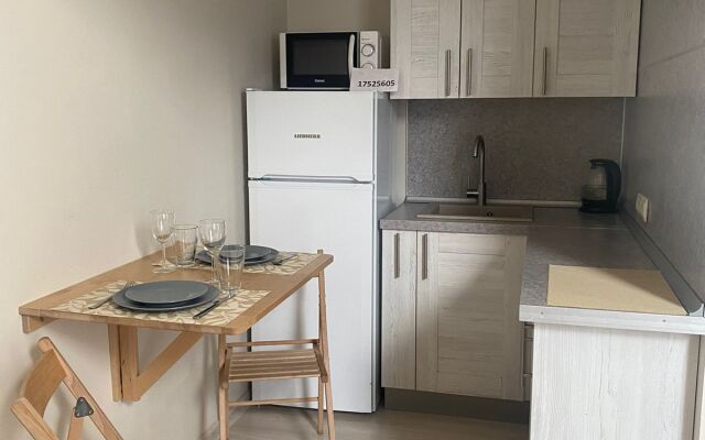 Апартаменты На Большой Конюшенной 2