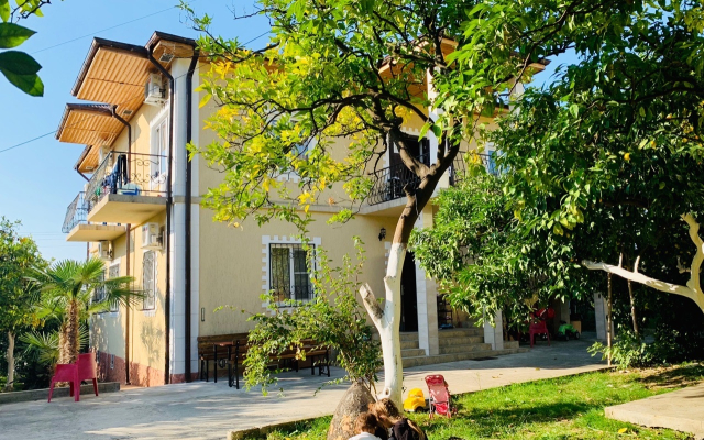Divny Sad Guest House