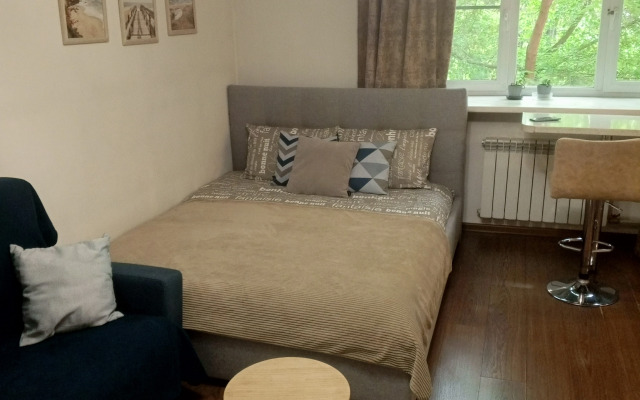 Uyutnaya Studiya V Tsentre Irkutska Flat