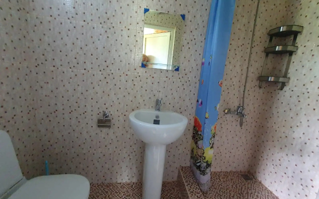 Abaza Guest House