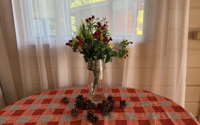 Частный дом Шишкин дом в 15 минутах от Северодвинска