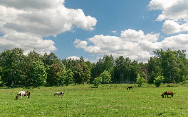 Zelenyij Gorodok Tsentr Otdyha