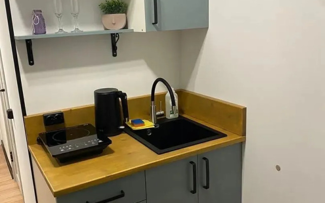 Апартаменты на ул. Шпалерной 9