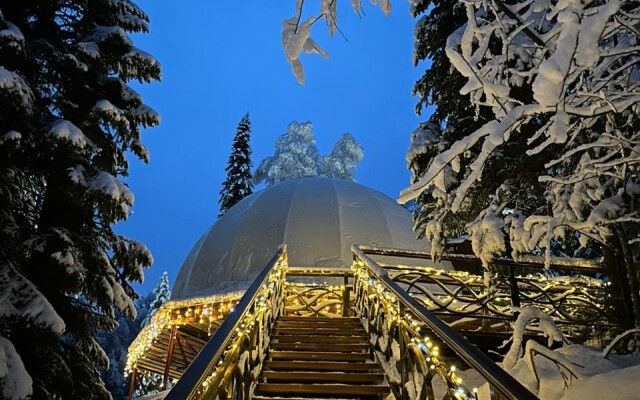 Глэмпинг Алтай Forest Glamp