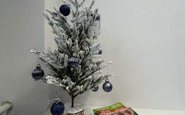 Квартира Уютная на Ленинском Пр-те