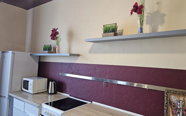 Апартаменты Просторная 2-комнатная в центре Екатеринбурга