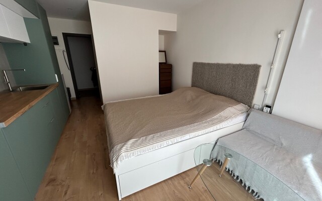 Semejnye LiteraA Moskovsky Station Apartment