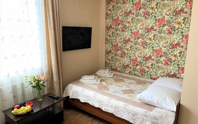 Vinograd Guest House