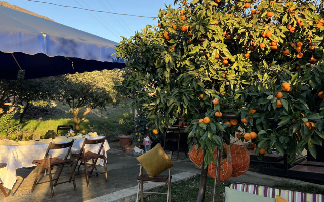 Mandarinovy Dvorik Private House