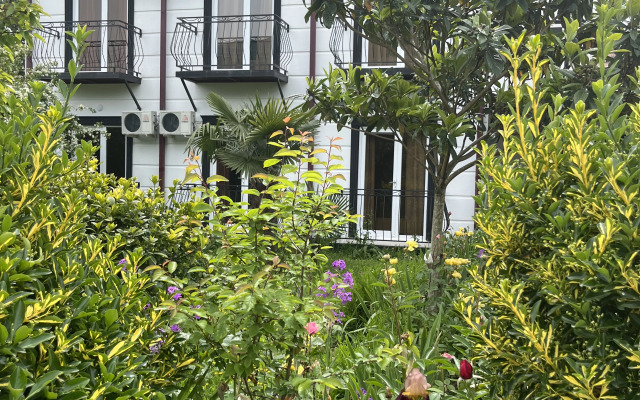 Ahchyipsyi Guest House