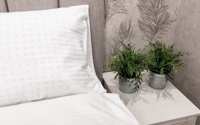 Апартаменты SPA-Apart