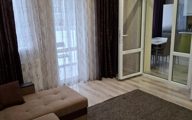 Квартира однокомнатная на Проспекте Советском 81/1