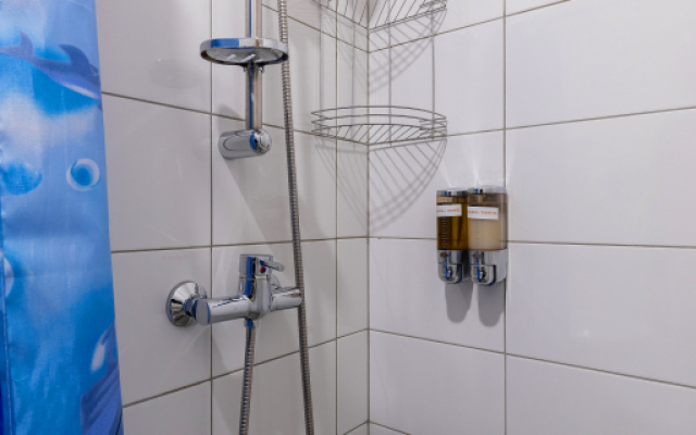Apartamenty V Tsentre - Ligovskiy 87 (1)