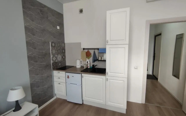 Апартаменты у аэропорта Внуково