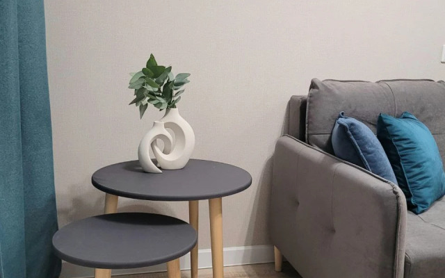 Апартаменты Атмосфера Уюта в ЖК Самолет