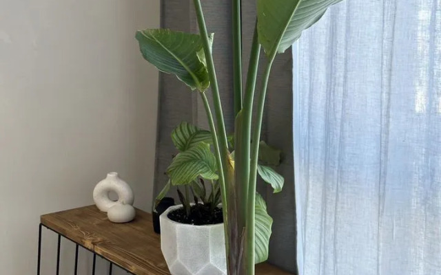 Na Veseloy 82/1 Flat