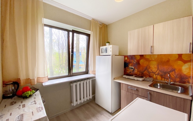 1 komnatnye na Kutuzova 4 Apartments