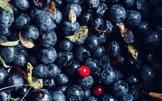 Глэмпинг Гиперборея