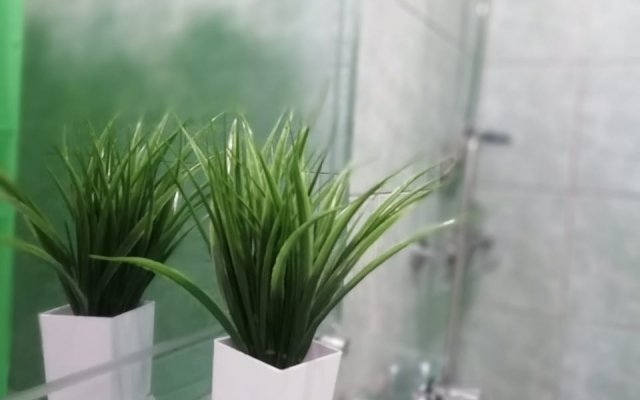 Апартаменты YuTani