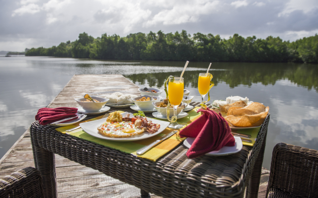 Отель Roman Lake Ayurveda Resort