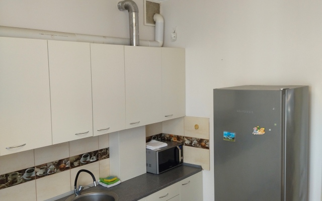 Zhemchuzhina na Gagarina 1 Apartments