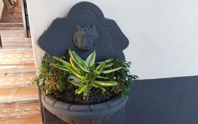 Апартаменты Apartamentos Monasterio de San Antonio Adults Only