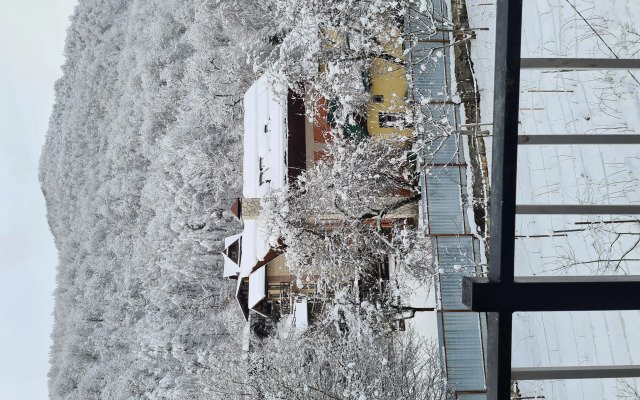 Kvartira S Kaminom Apartments