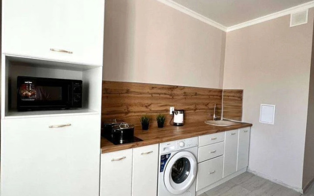 Квартира на Александра Покрышкина 4/9 (282)