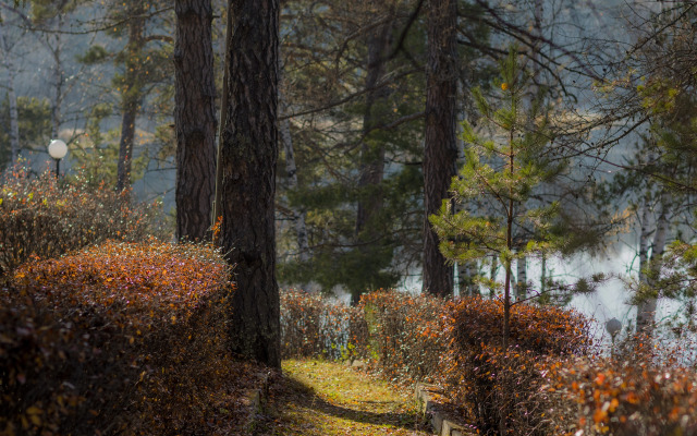 Санаторий-профилакторий Кошкуль