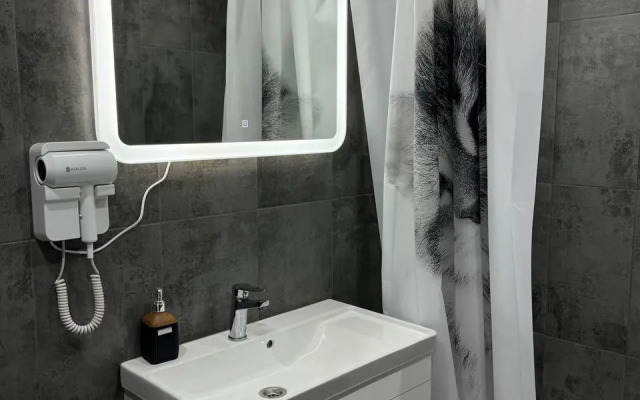 Квартира Однокомнатная  в Миниотеле