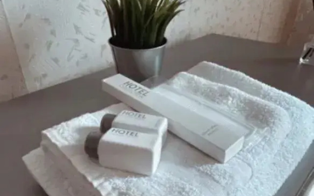 V Tsentralnom Rayone Chelyabinska Flat