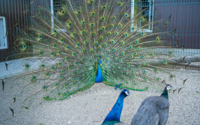 Отель Комплекc Загородного отдыха  Место 7