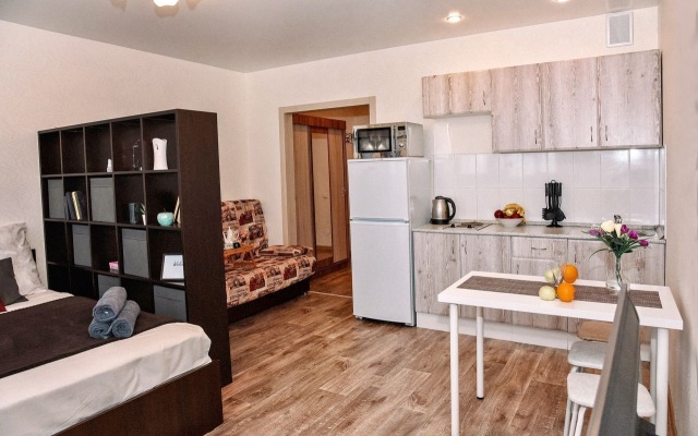 One-room RusDom  in the city center Apartments