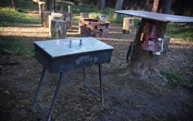 Гостевой дом Дом у леса