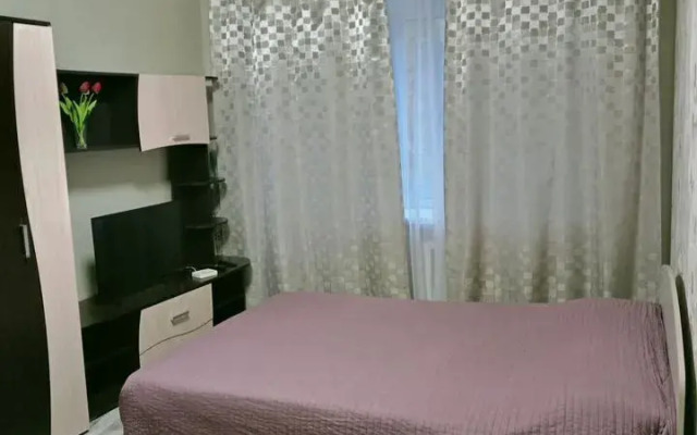 Апартаменты Чкалова 14