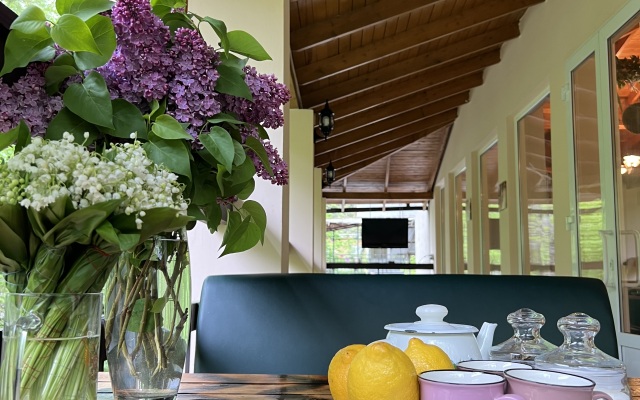 Divnoe Guest house