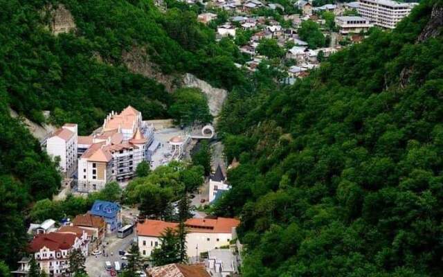 Dioscuria Borjomi Guest House