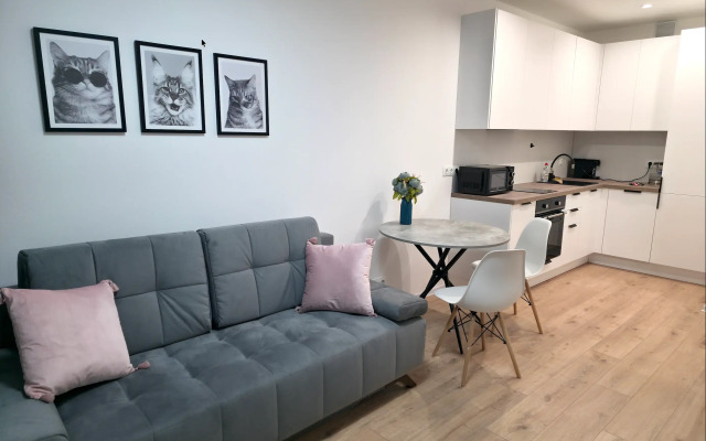 Квартира Евродвухкомнатная квартира с панорамным видом