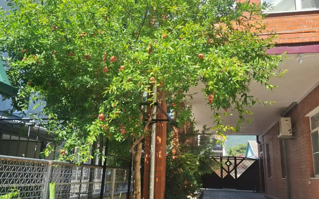 Guest house Tsitrus