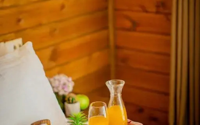 Chalet Mestia Hotel